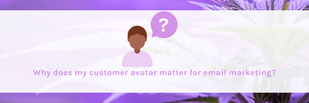 Why does my customer avatar matter for email marketing?